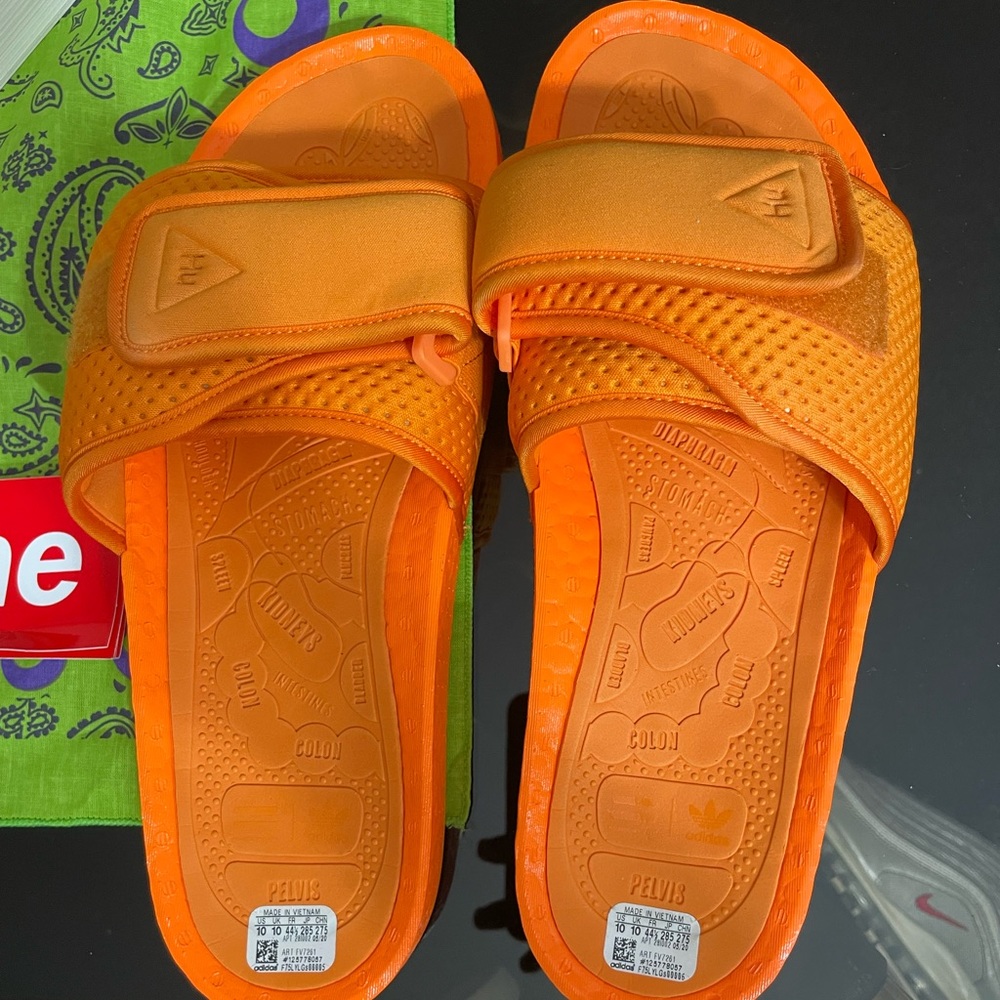 Human race slides